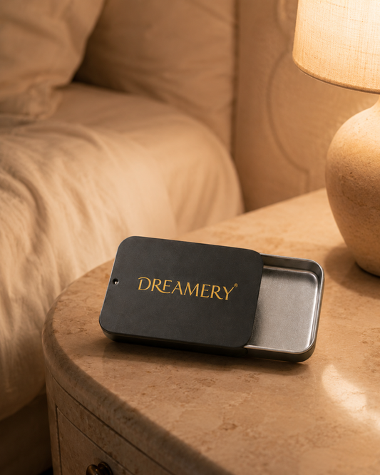 Dreamery Travel Case