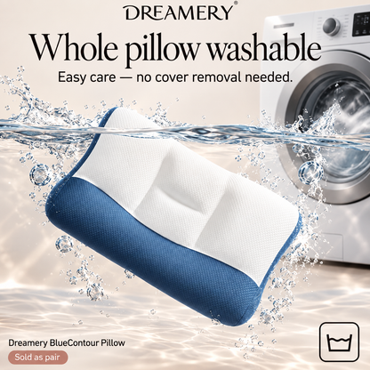 Dreamery BlueContour Neck Support Pillow