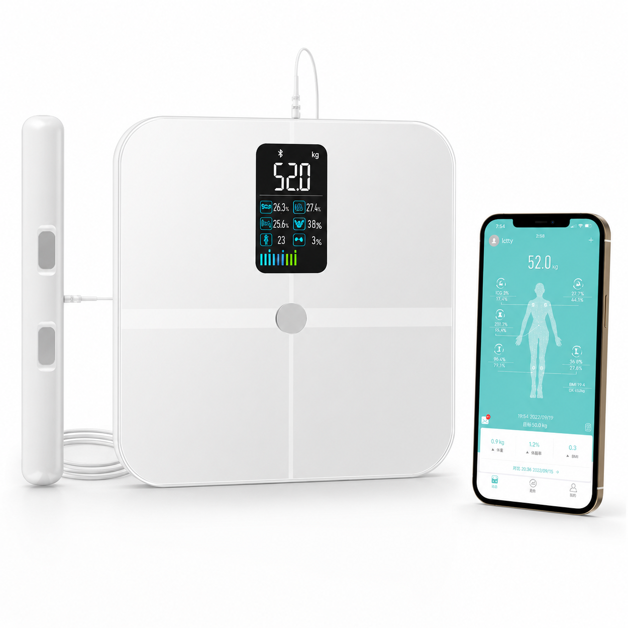 Dreamery Clarity Body Composition Scale
