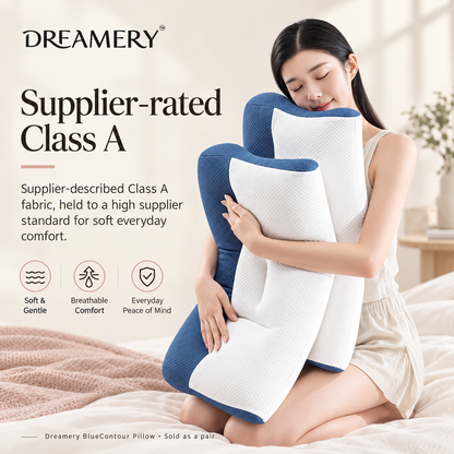 Dreamery BlueContour Neck Support Pillow