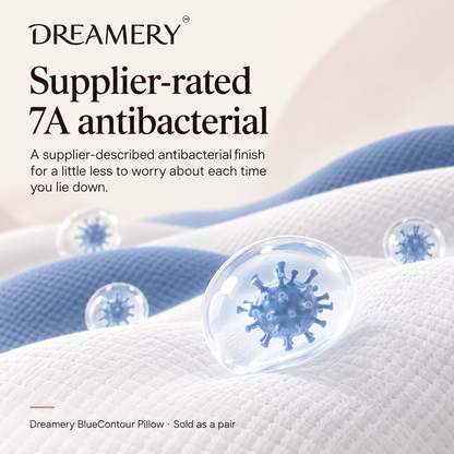 Dreamery BlueContour Neck Support Pillow